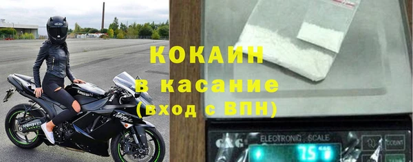 индика Бронницы