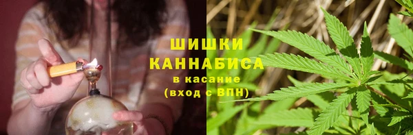 прущая мука Богданович