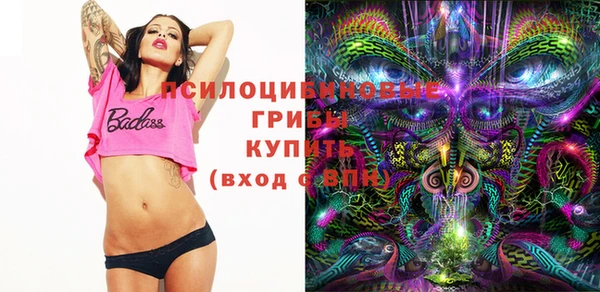 ешки Белокуриха