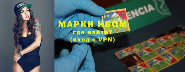 индика Бронницы