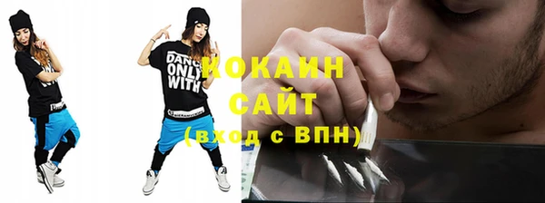 индика Бронницы
