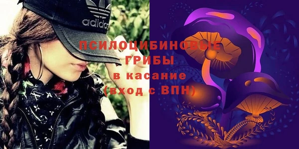 сатива Богородицк