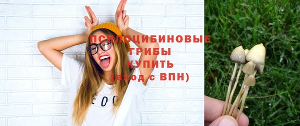 сатива Богородицк