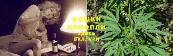 шишки Богородск