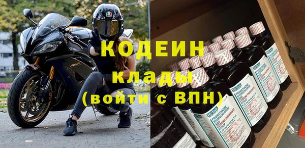 индика Бронницы