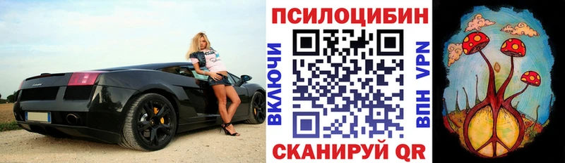 Псилоцибиновые грибы MAGIC MUSHROOMS  где купить наркоту  Невель 